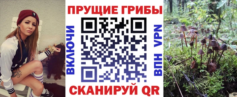 Галлюциногенные грибы Cubensis omg ТОР Харовск